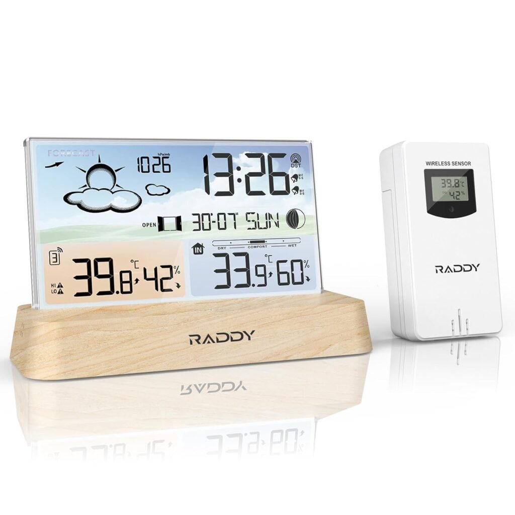 Raddy DT6 Station météo avis