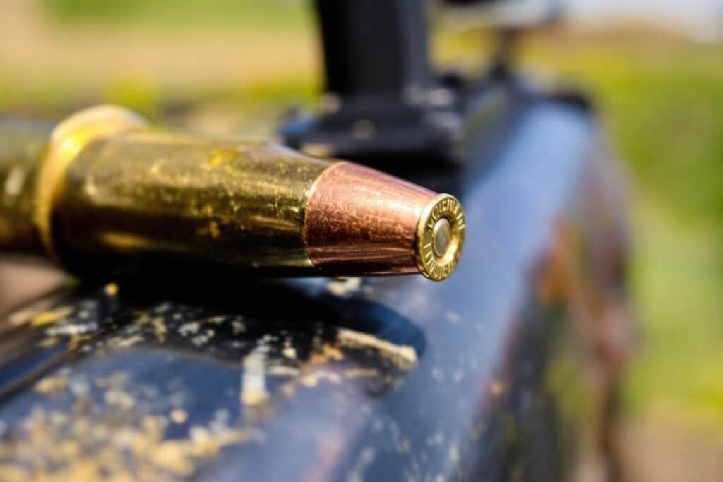 Winchester short magnum : caractéristiques et performances